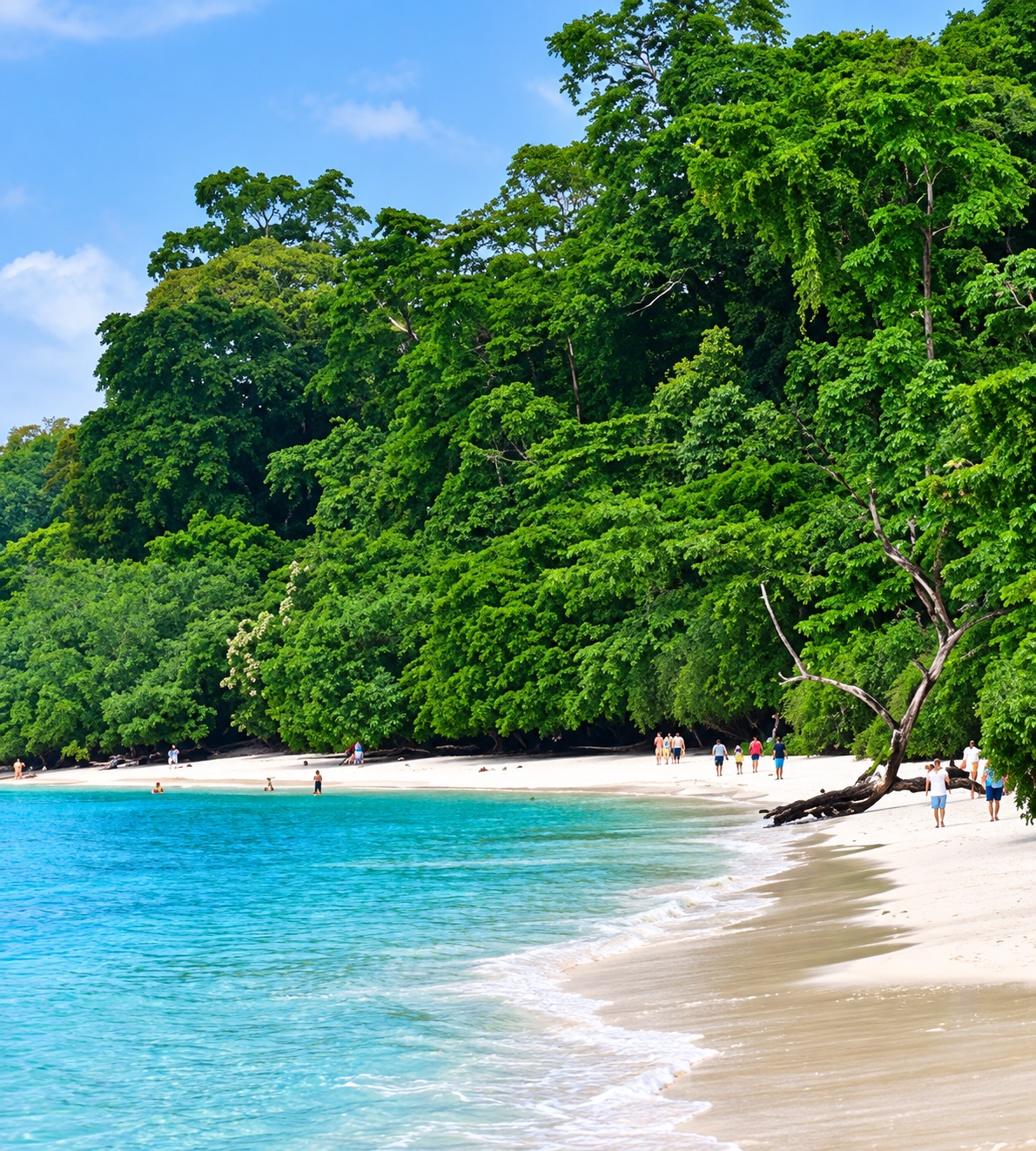Andaman Island Bliss photo 4