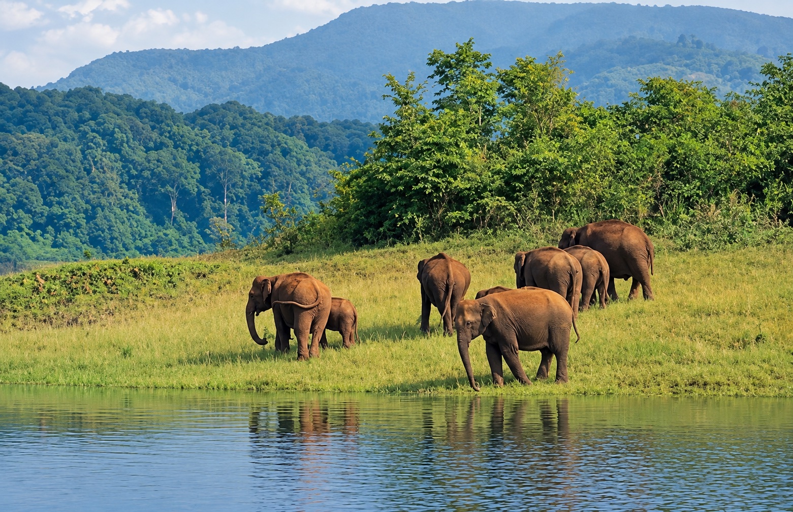 Kerala Tour
