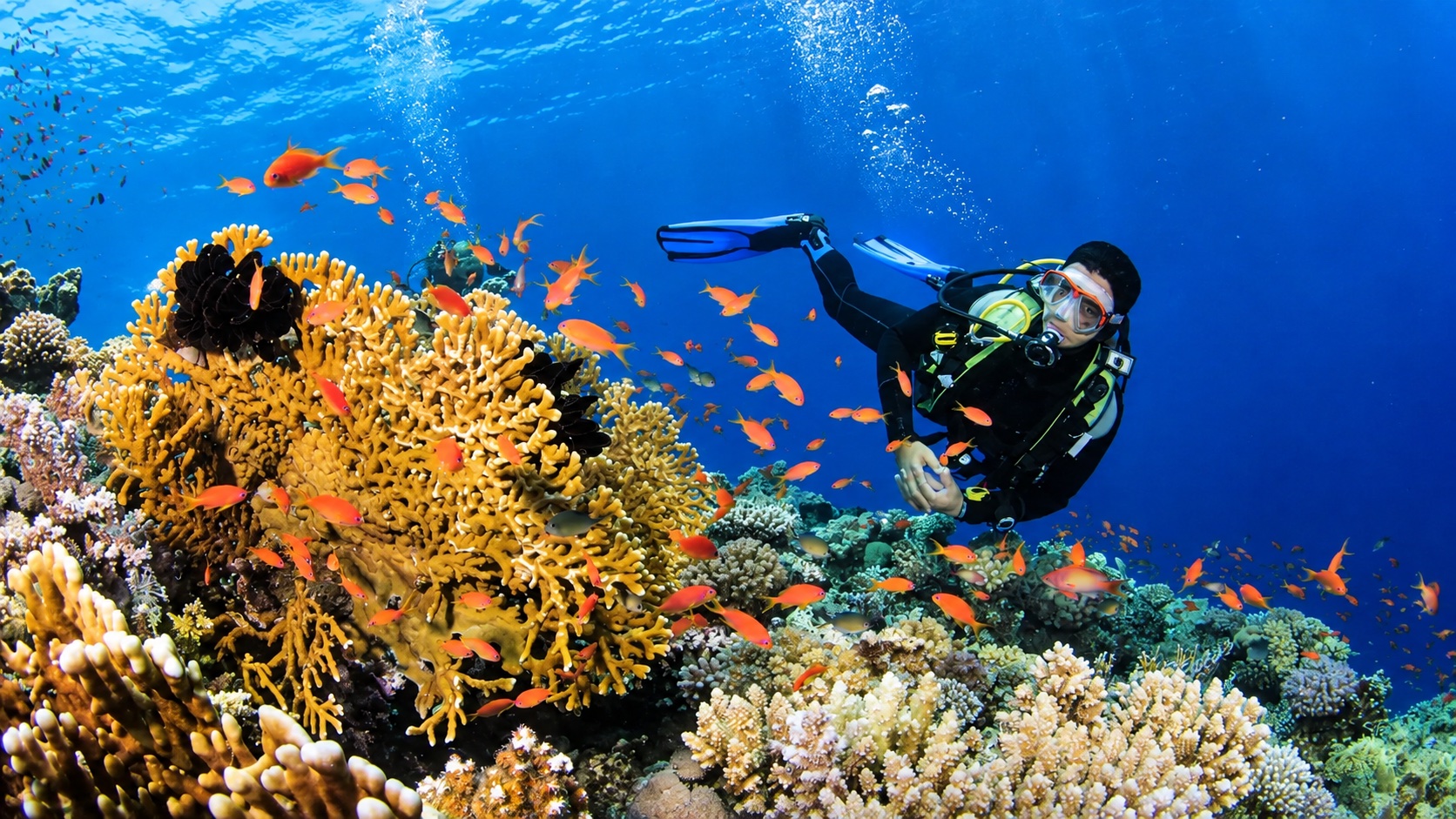 Andaman Island Bliss photo 2
