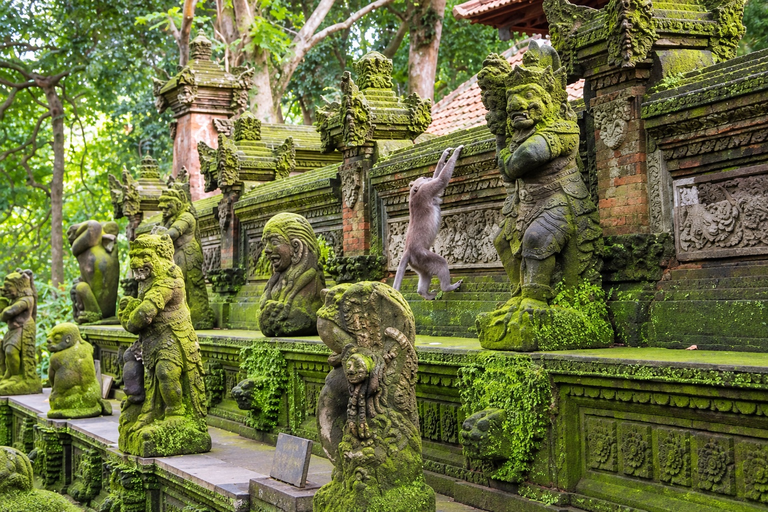 Bali Sacred Temples & Soft Sands photo 4